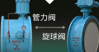 與世博攜手共贏未來(lái)